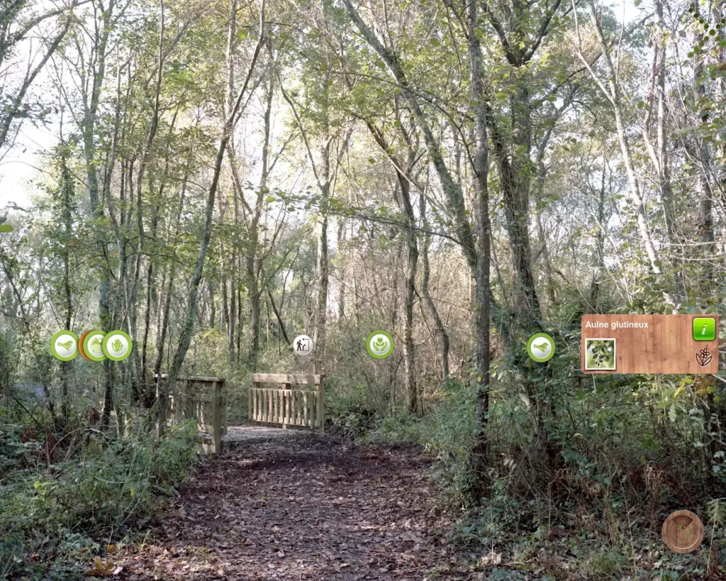 Guillaume Bonnel, artefact, mise en scène de la nature, réalité augmentée