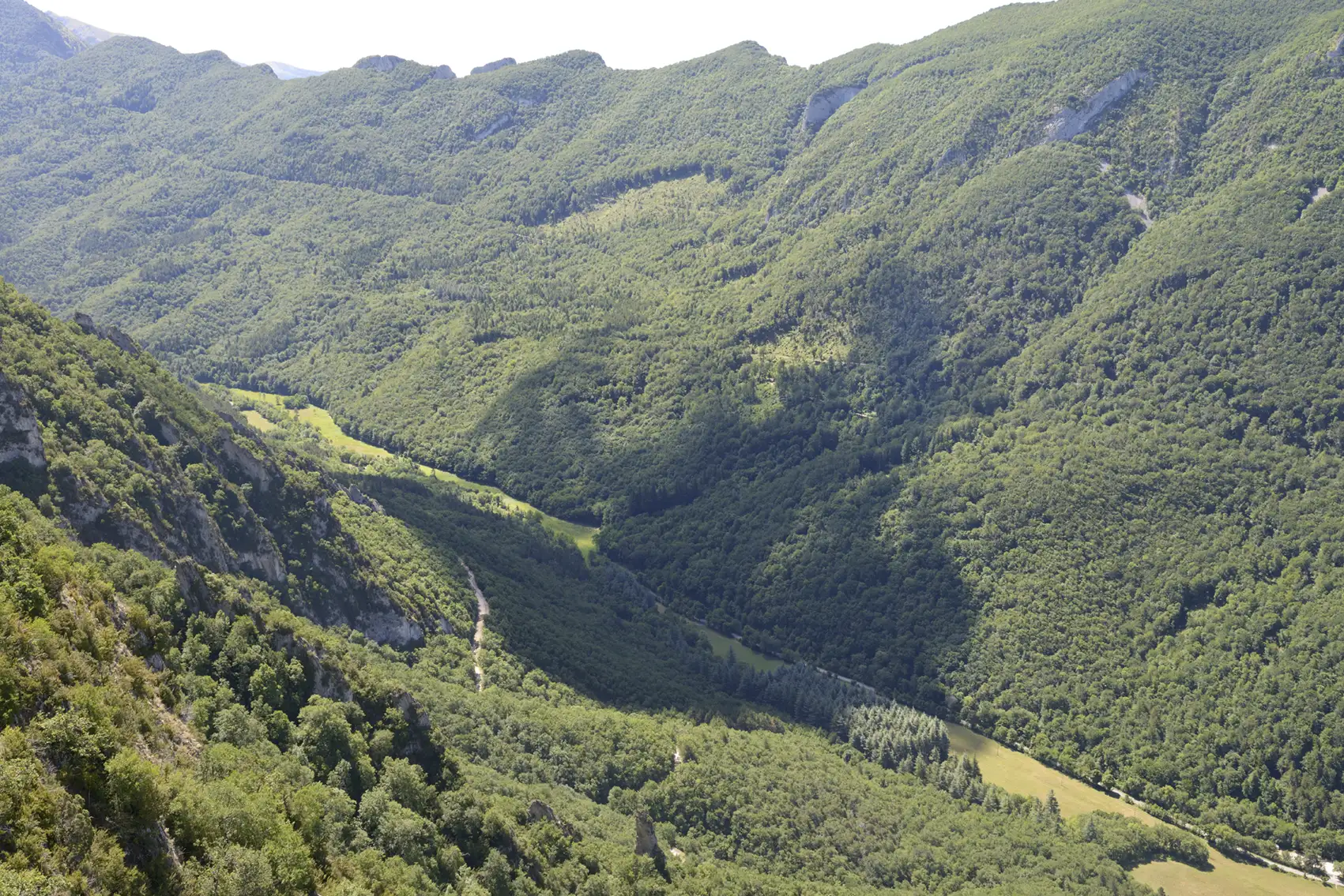 Guillaume Bonnel, Observatoire photographique de la forêt de Saoû, Synclinal perché