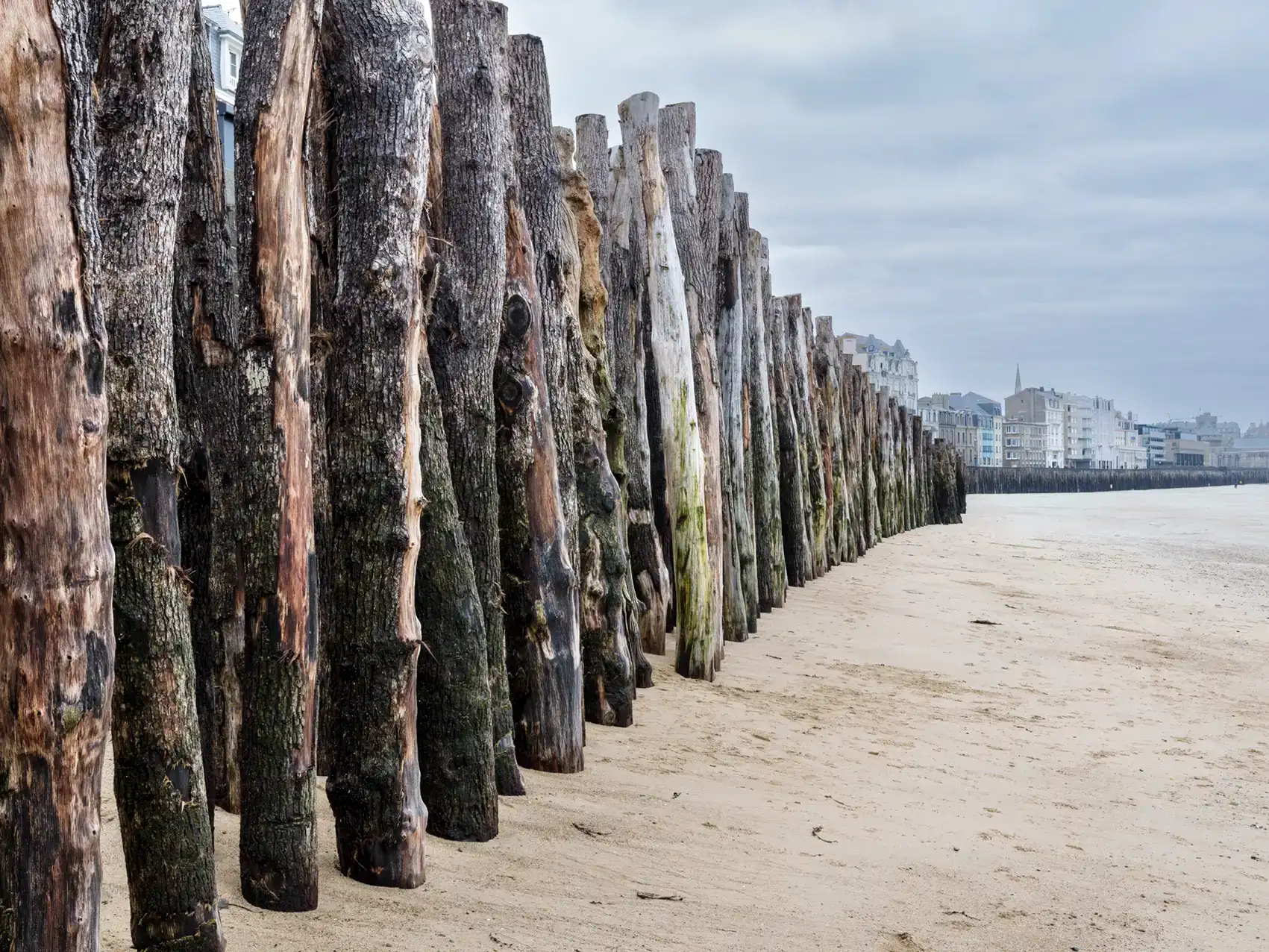 Guillaume Bonnel, érosion du trait de côte, vagues submersion, brises lames, Saint Malo