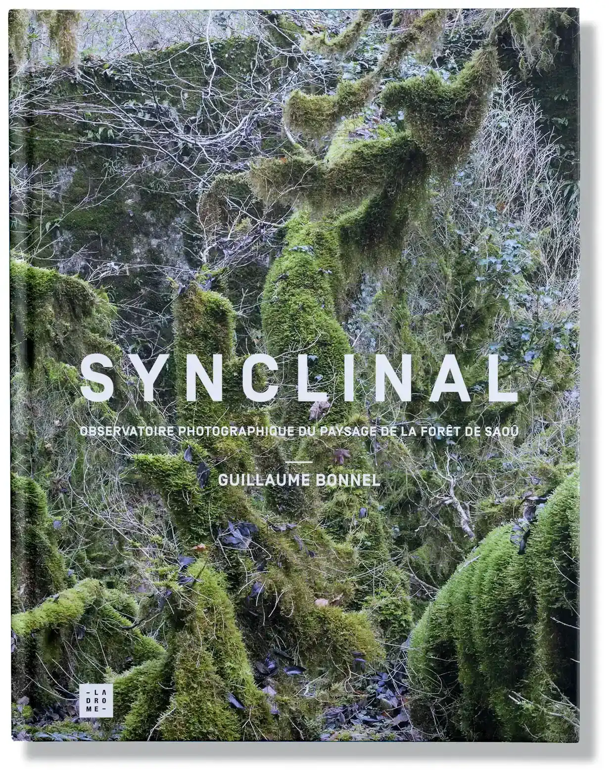 Synclinal, observatoire photographique de la forêt de Saoû, Guillaume Bonnel