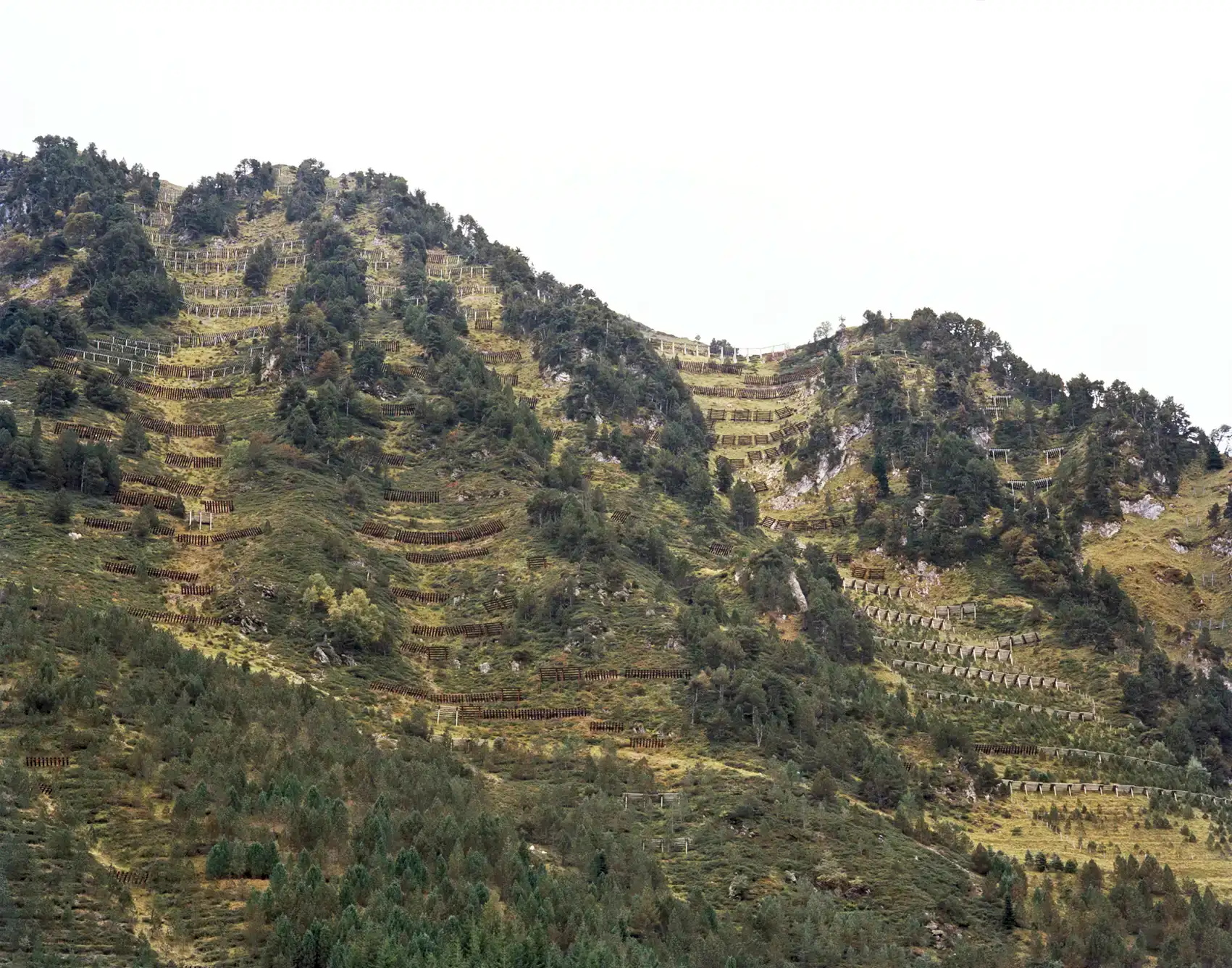 Guillaume Bonnel, orthèses, chirurgie du paysage, réparer le paysage, rateliers, la Mongie, ONF, RTM